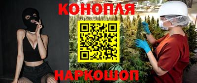 крисы Волгодонск